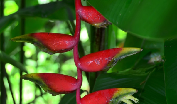 CSC_3447