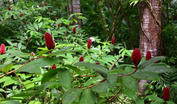 CSC_3436