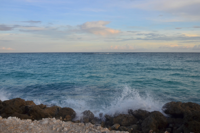 photo 607631