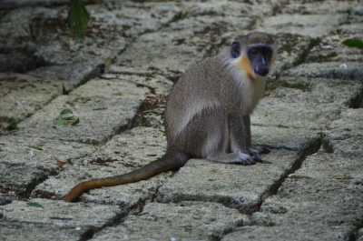 photo 607883