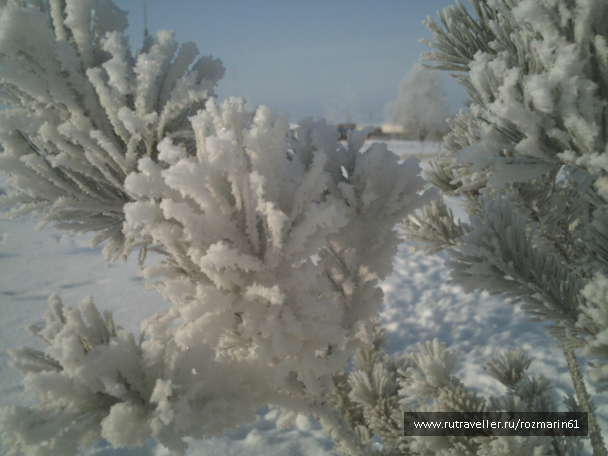 photo 624981