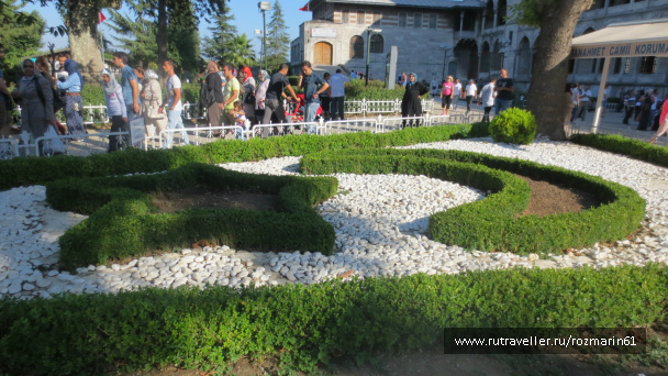 photo 444725
