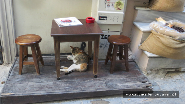 photo 444756