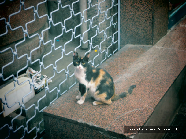 photo 444765