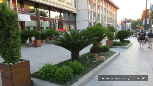 photo 444786