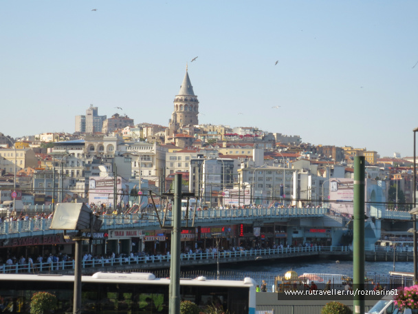 photo 444791