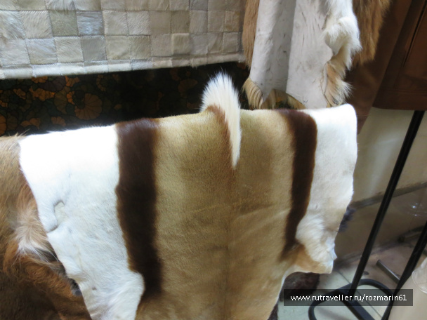 photo 444821