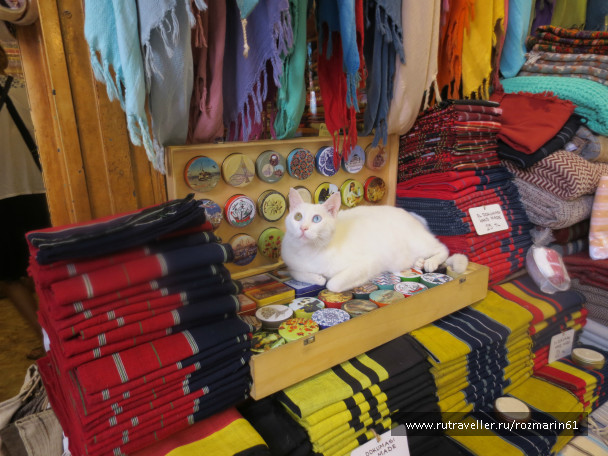 photo 444843