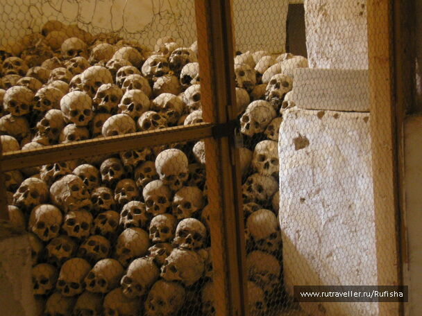 photo 246380