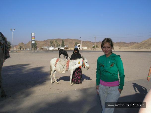 photo 246620