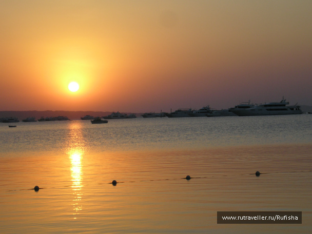 photo 246624