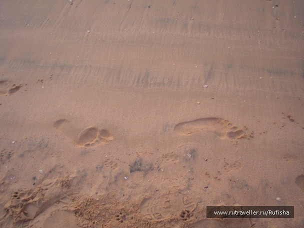 photo 246633