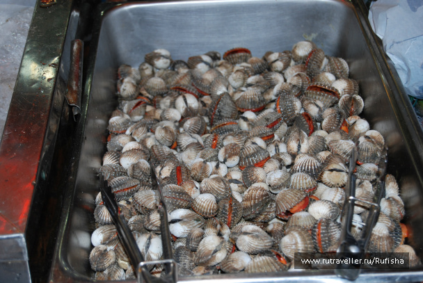 photo 242635