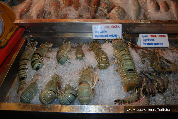 photo 242636