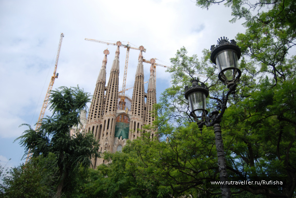 photo 242349
