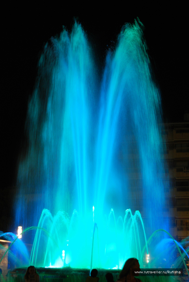 photo 242354