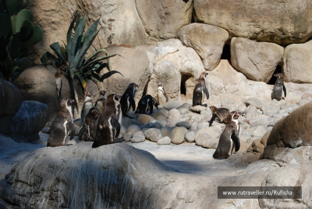 photo 255320