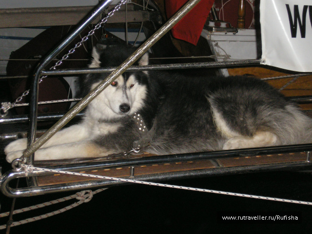 photo 246562