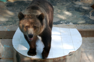 photo 437061