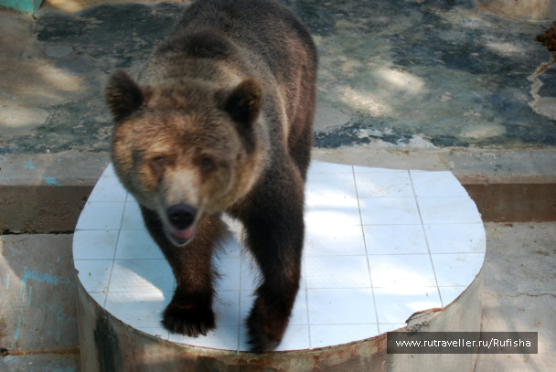 photo 437061