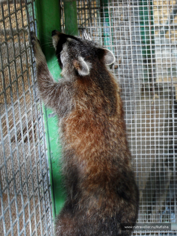 photo 437064