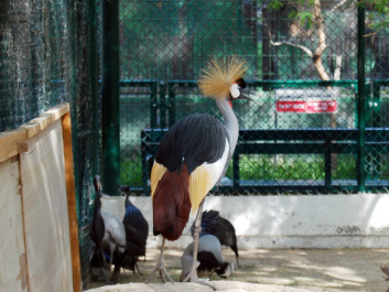 photo 437068