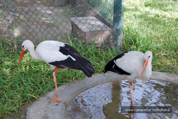 photo 437069