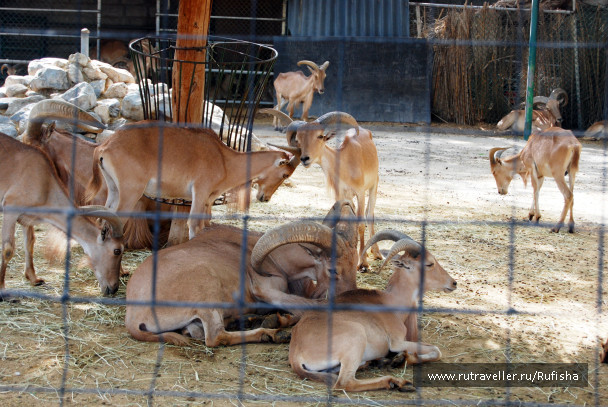photo 437075