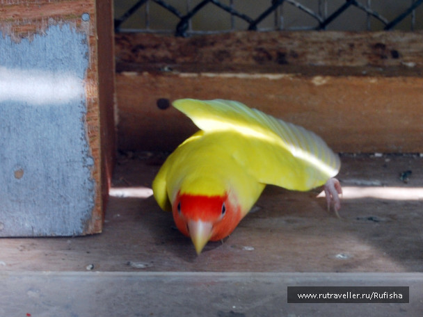photo 437076