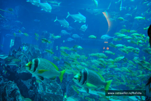 photo 437096