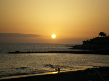 photo 257875