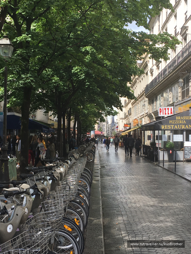 photo 1502852