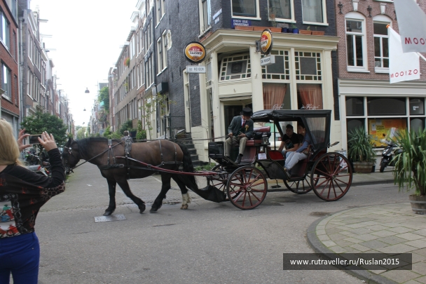 photo 944790