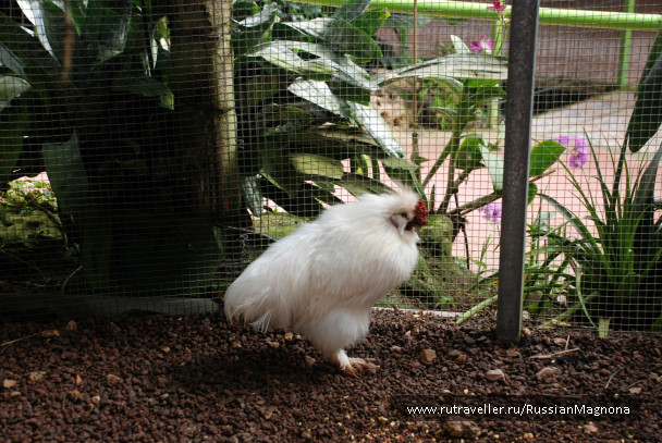 photo 323377