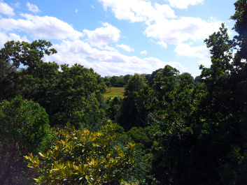 photo 175456