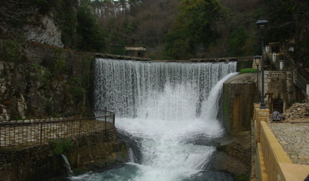 IMGP9446