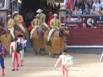 photo 318169