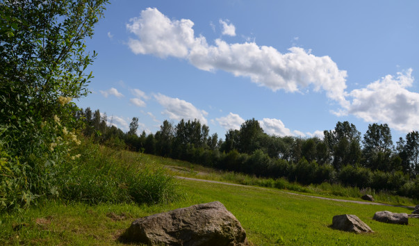 DSC_1396