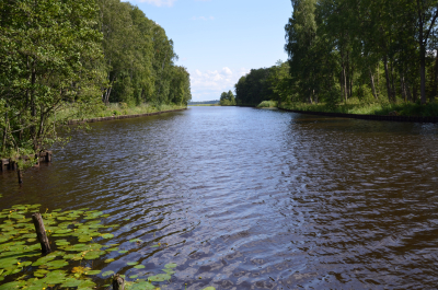 photo 1524512