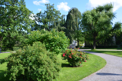 photo 1524515
