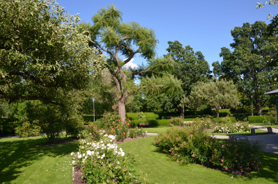 photo 1524516