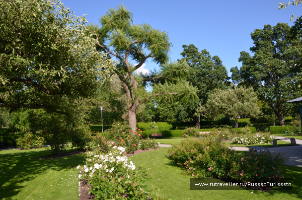 photo 1524516