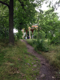 photo 1132315
