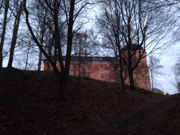 photo 1132452
