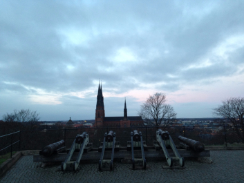 photo 1132453