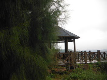 photo 1217727