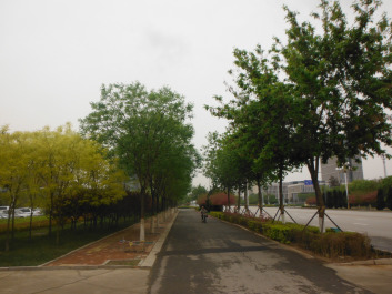 photo 1317620