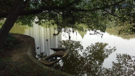 photo 1334085
