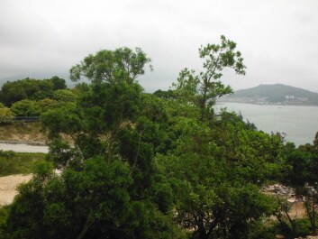 photo 1337278