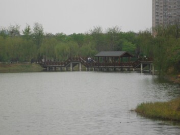 photo 1347614